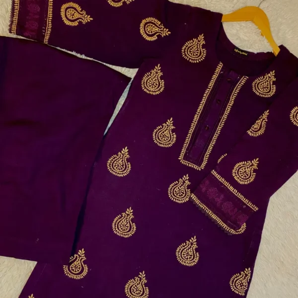 Elegant Plum & Beige Tarkashi 2pcs Outfit