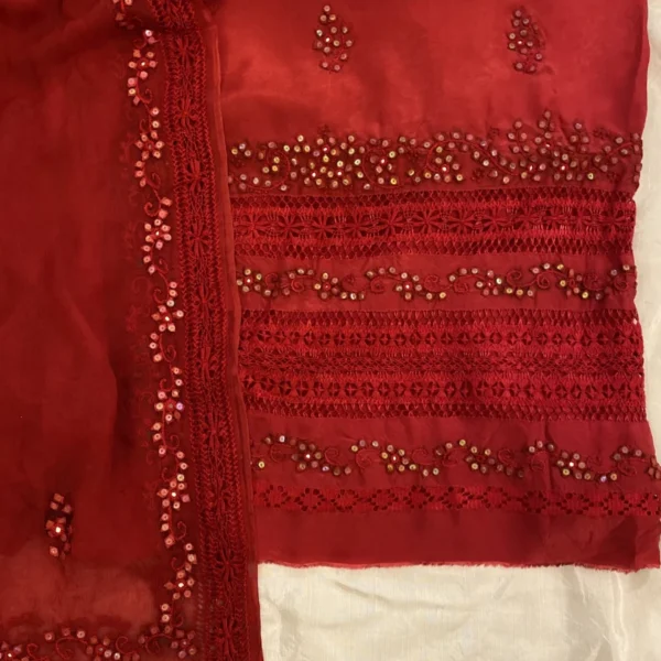 Ruby Red Handmade Tarkashi with Tukri Work Outfit